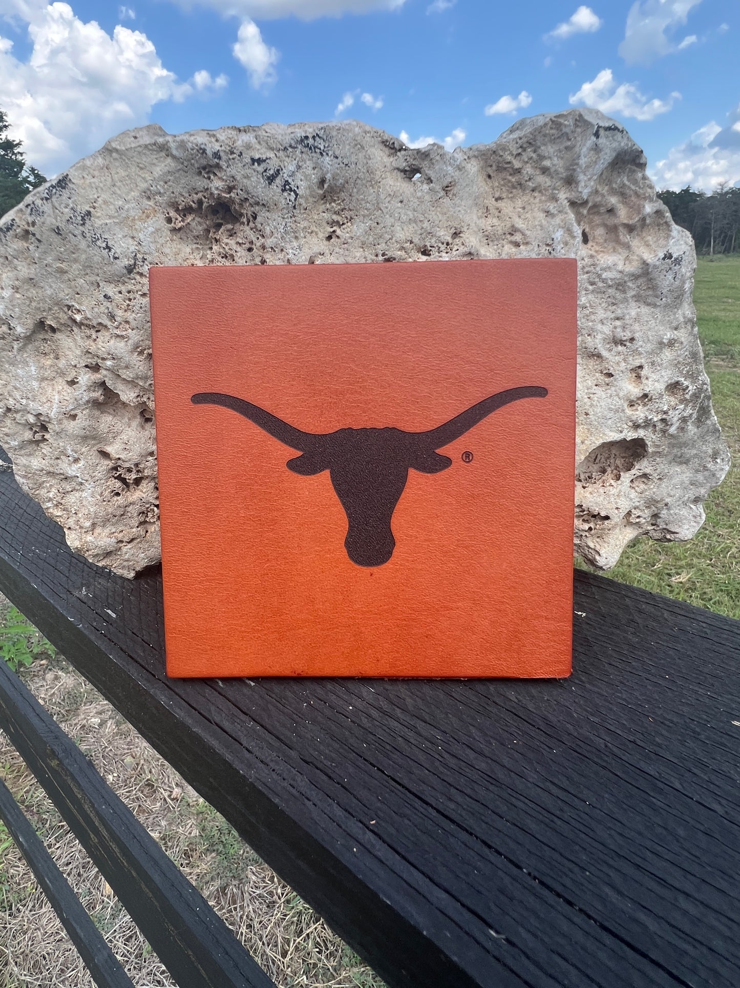 Bridle Leather Coasters - 4.5" - University Collection