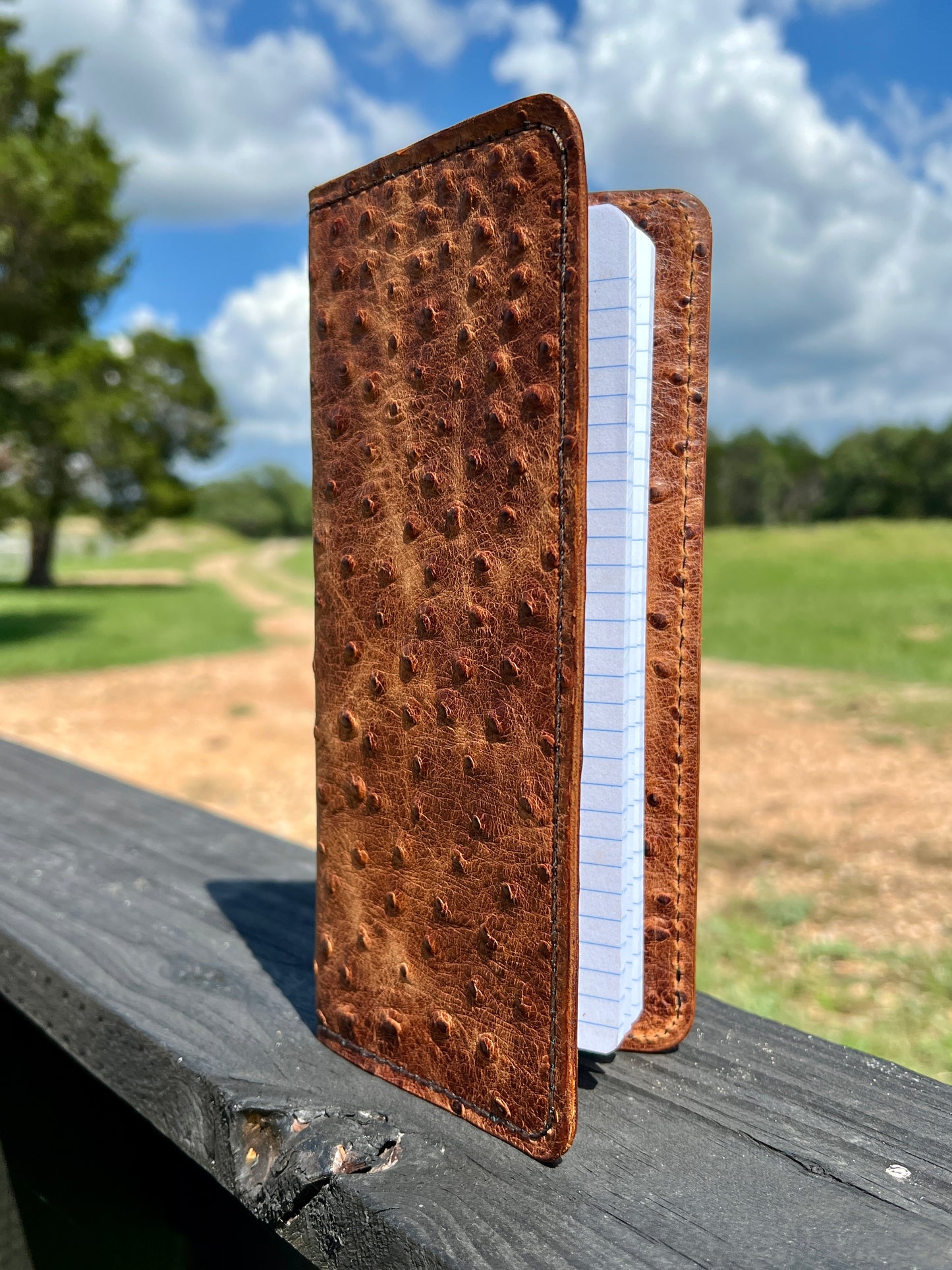 Handcrafted Tally Book Cover - Veg Tan Ostrich Embossed