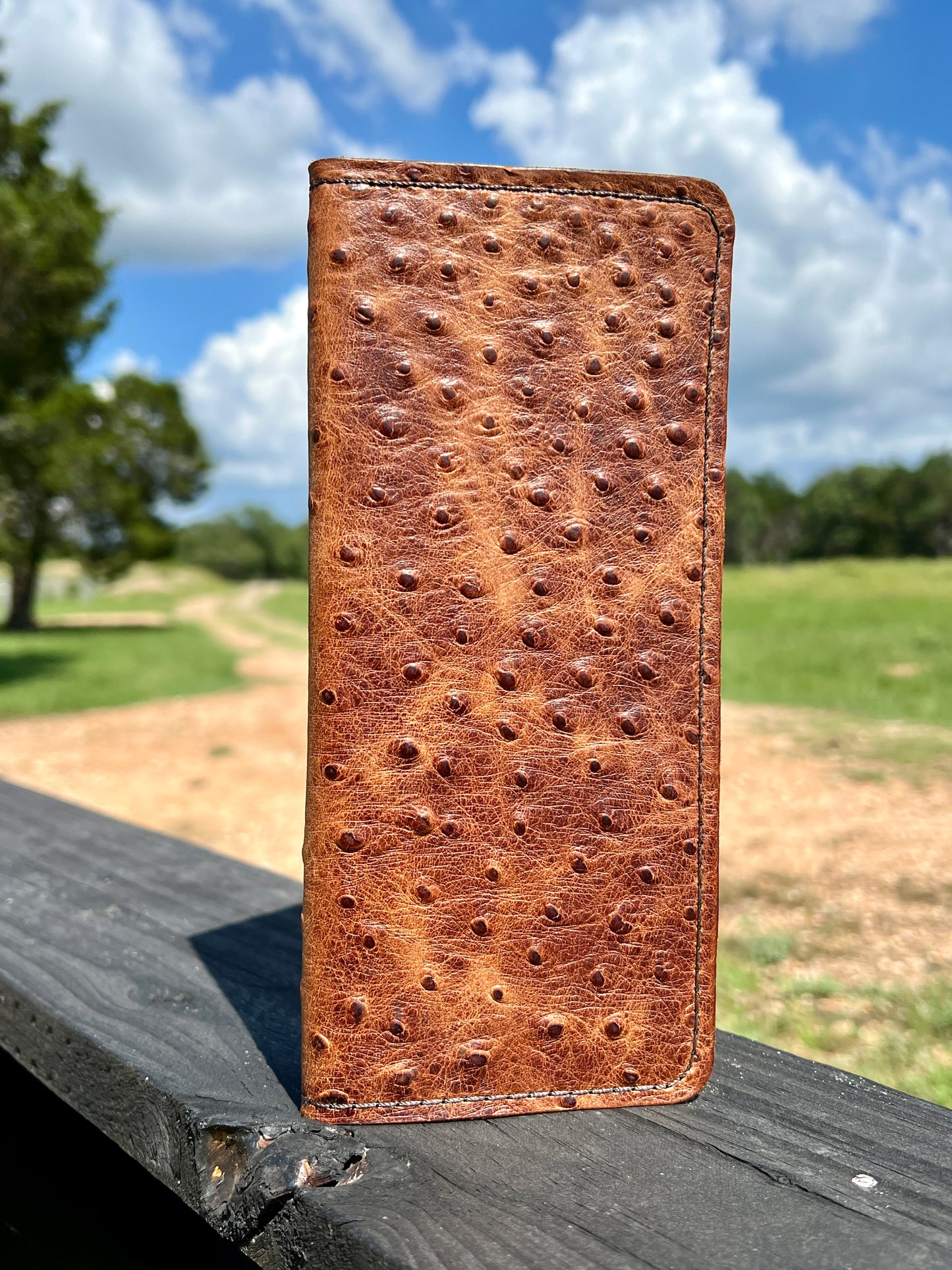Handcrafted Tally Book Cover - Veg Tan Ostrich Embossed