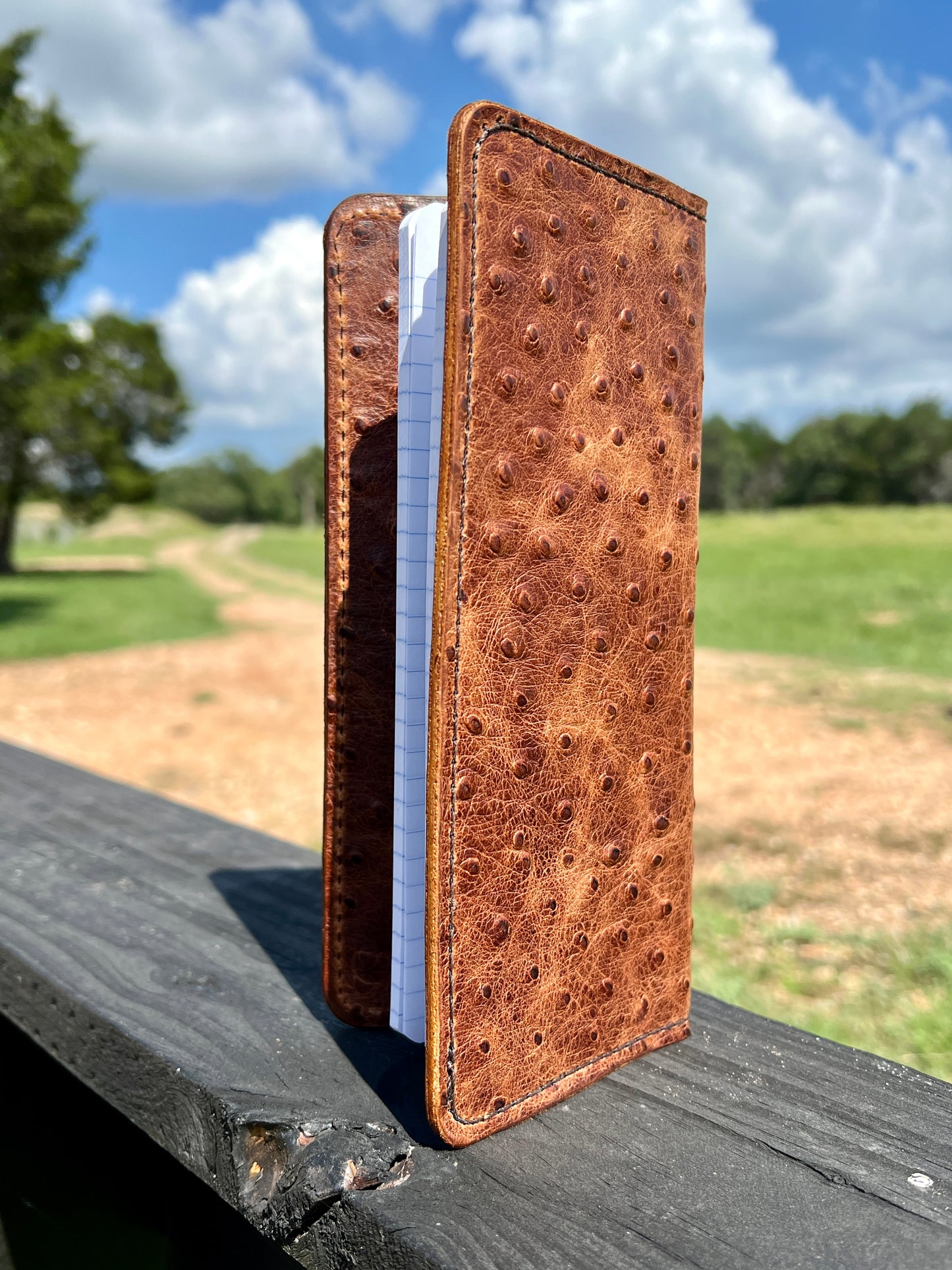 Handcrafted Tally Book Cover - Veg Tan Ostrich Embossed