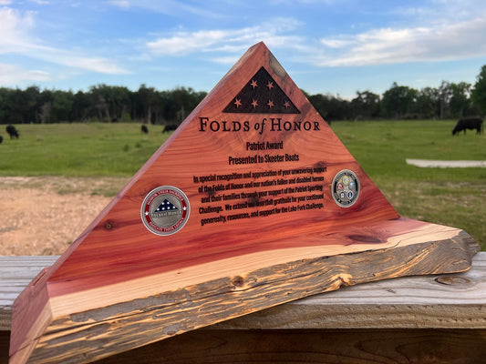 Folded Flag Triangle Award with Base - PateRanchCreations