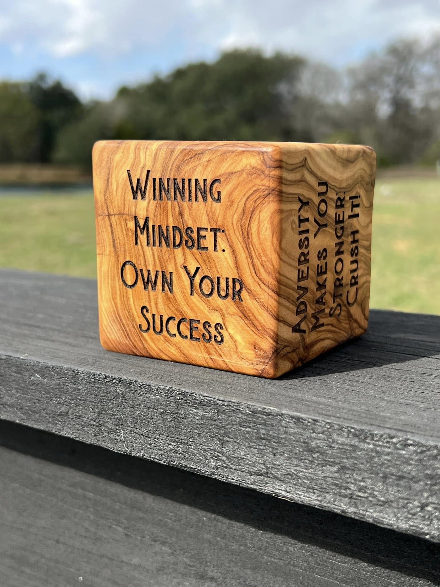 Motivational Cube / Award - PateRanchCreations