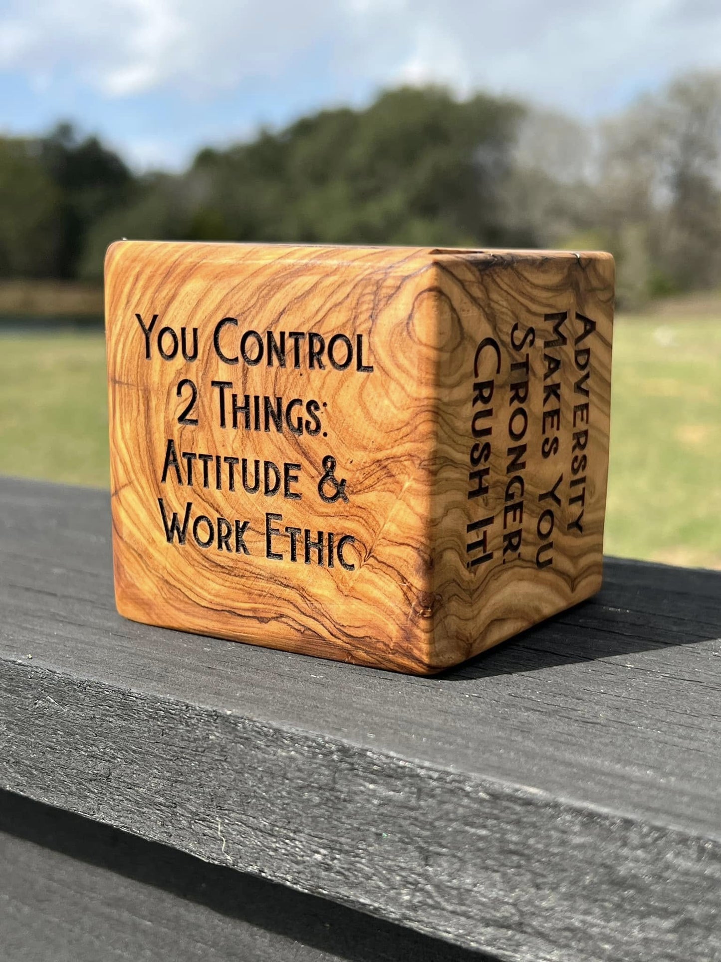 Motivational Cube / Award - PateRanchCreations